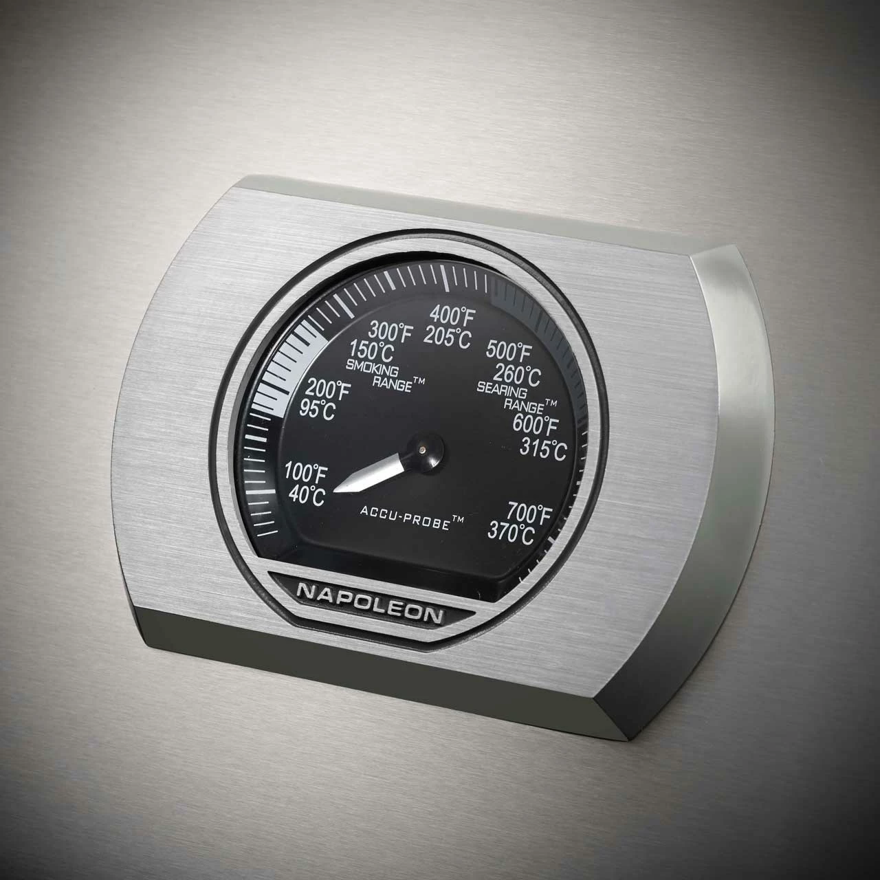 Napoleon Rogue SE 625, Edelstahl 5 Napoleon Rogue SE 625, Edelstahl – Bild 3